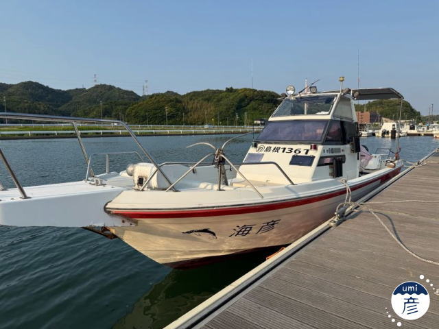 白イカ調査R7.6.1