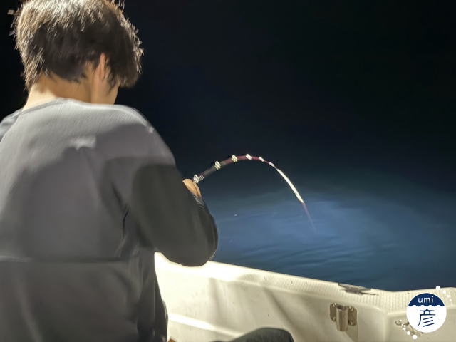 白イカ釣り海彦スタッフ便 R7.6.30