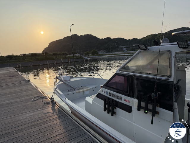 七夕白イカ釣り R7.7.7