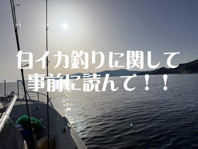 白イカ釣りのご予約について｜遊漁船海彦からのお願い